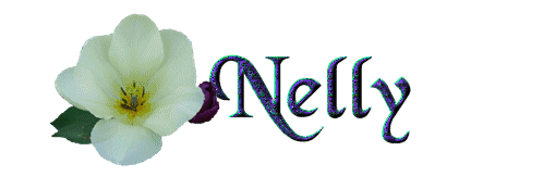 nelly/nelly-065861