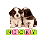 nicky/nicky-115794