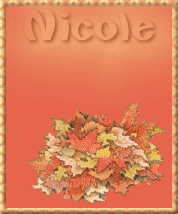 nicole/nicole-201232
