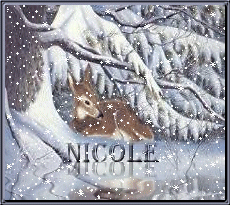 nicole/nicole-349696