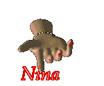 nina/nina-873520