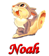 noah/noah-168209