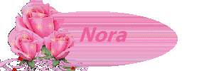 nora/nora-963764