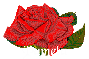 pamela/pamela-324501