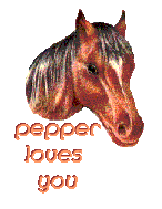 pepper/pepper-104491