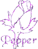 pepper/pepper-411555