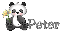 peter/peter-386098