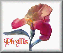phyllis/phyllis-774027