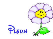 pleun/pleun-459377
