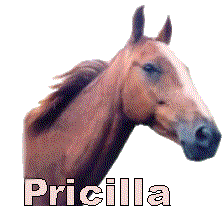 pricilla/pricilla-591766