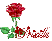 priscilla/priscilla-482041