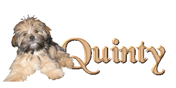 quinty/quinty-407252
