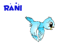 rani/rani-422626