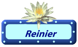 reinier/reinier-951166