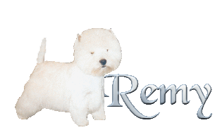 remy/remy-889023