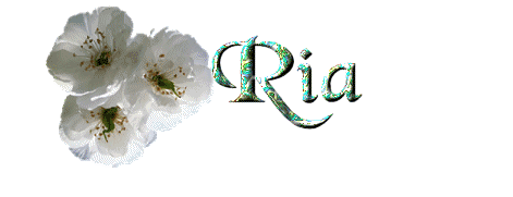 ria/ria-088339