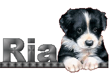 ria/ria-265982