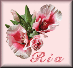 ria/ria-516848