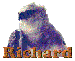 richard/richard-218205