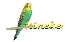 rineke/rineke-016273