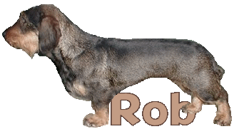 rob/rob-959646