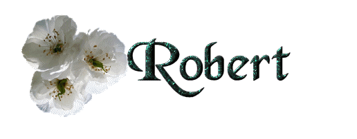 robert/robert-414880