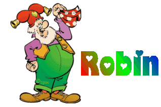 robin/robin-105499