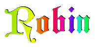 robin/robin-589816