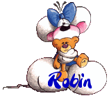 robin/robin-650797