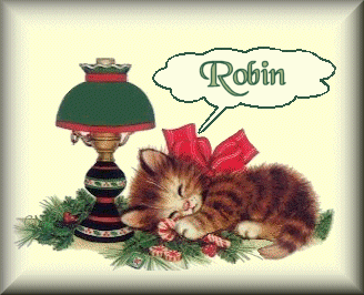 robin/robin-938493