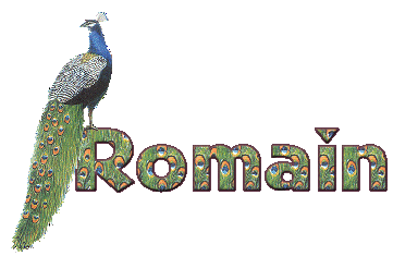romain/romain-532606
