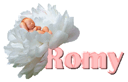 romy/romy-687909
