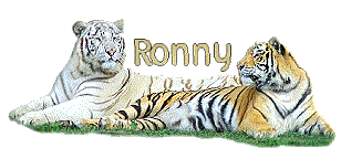 ronny/ronny-733903