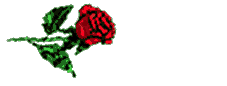 rose/rose-199821