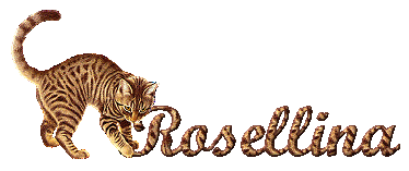 rosellina/rosellina-389722
