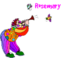 rosemary/rosemary-175006