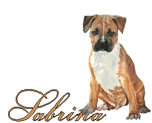 sabrina/sabrina-947144