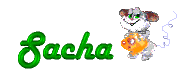 sacha/sacha-520452