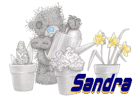sandra/sandra-329764