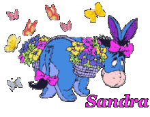 sandra/sandra-457419