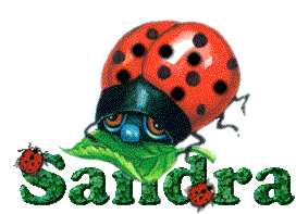 sandra/sandra-501849