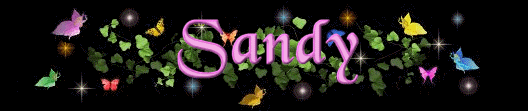 sandy/sandy-257005