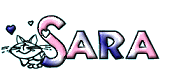 sara/sara-313062