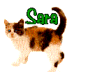 sara/sara-582970