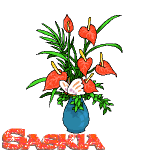 saskia/saskia-478235