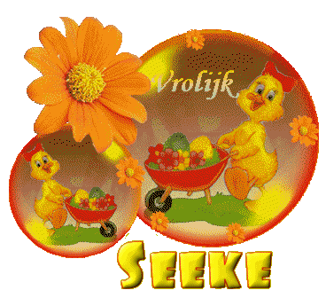 seeke/seeke-950945