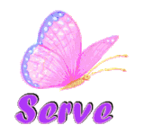 serve/serve-731222