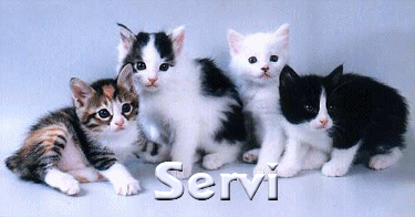 servi/servi-736441