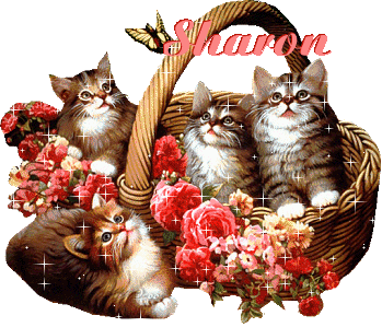sharon/sharon-142954
