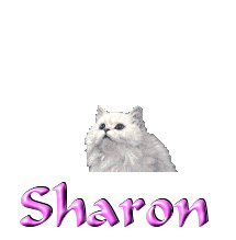sharon/sharon-282435